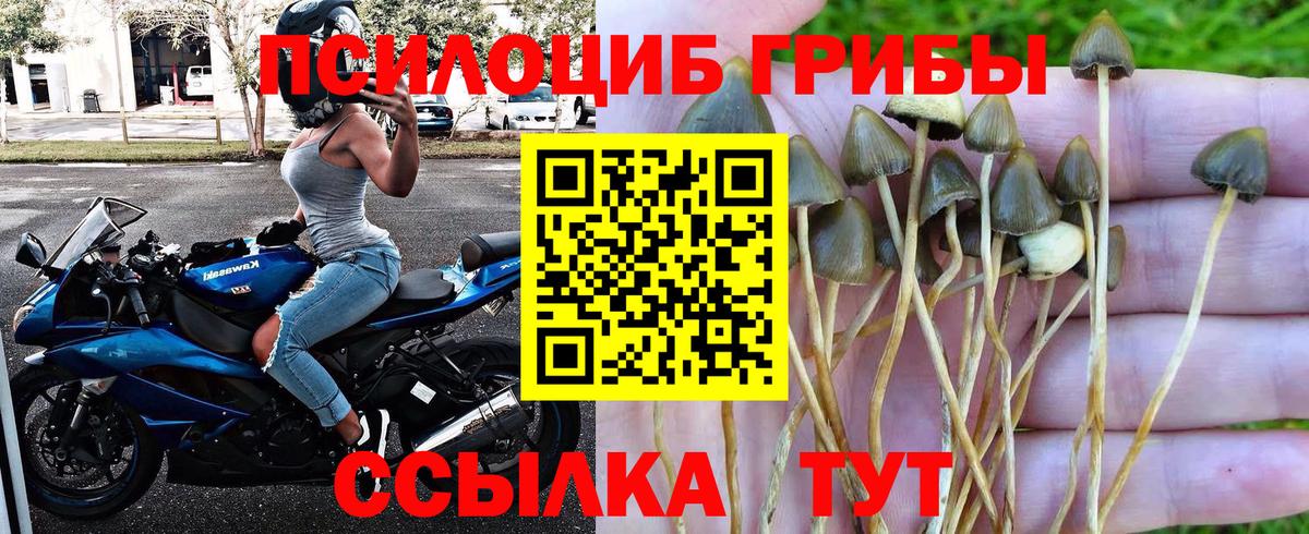 Псилоцибиновые грибы ЛСД Люберцы