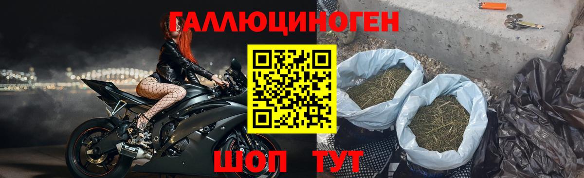 Псилоцибиновые грибы Cubensis  Галлюциногенные грибы прущие грибы  Люберцы  Вход с VPN 