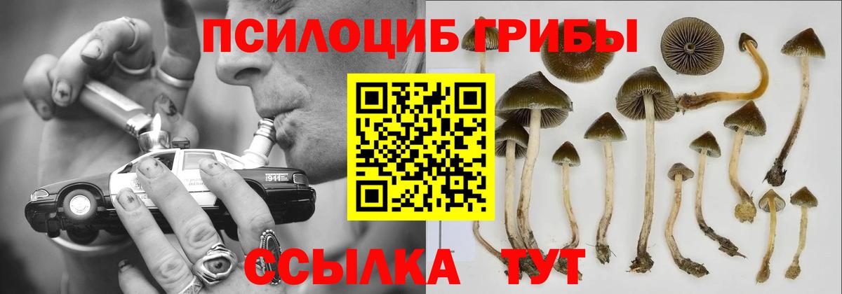 Псилоцибиновые грибы мухоморы Люберцы